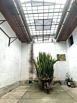 oliver price1 online show from 09.26.25